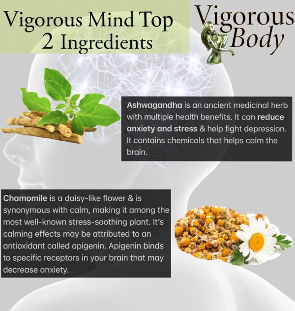 Vigorous Mind Capsule - Image 2