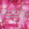 Rose Lip Scrub - Image 3