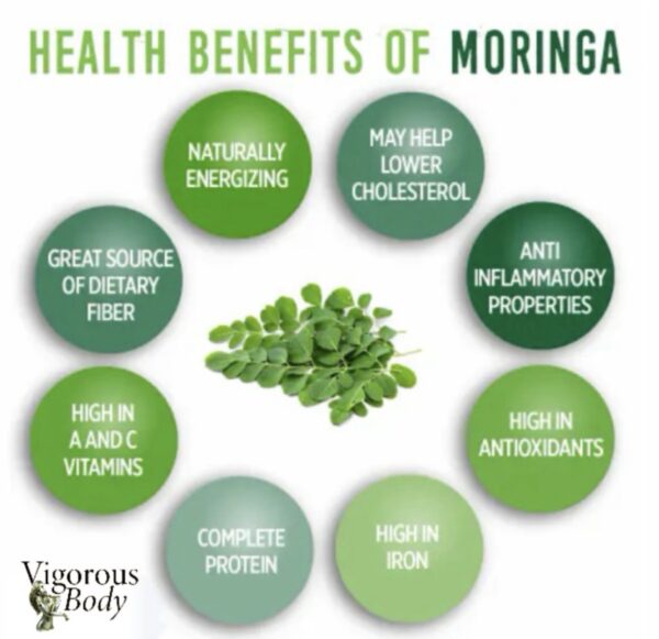 Moringa Capsule - Image 3