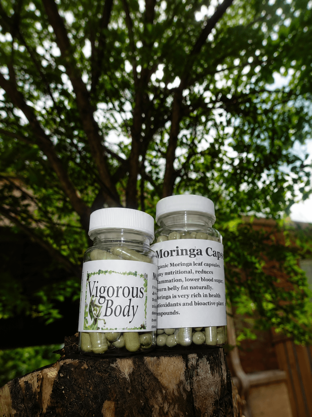 Moringa